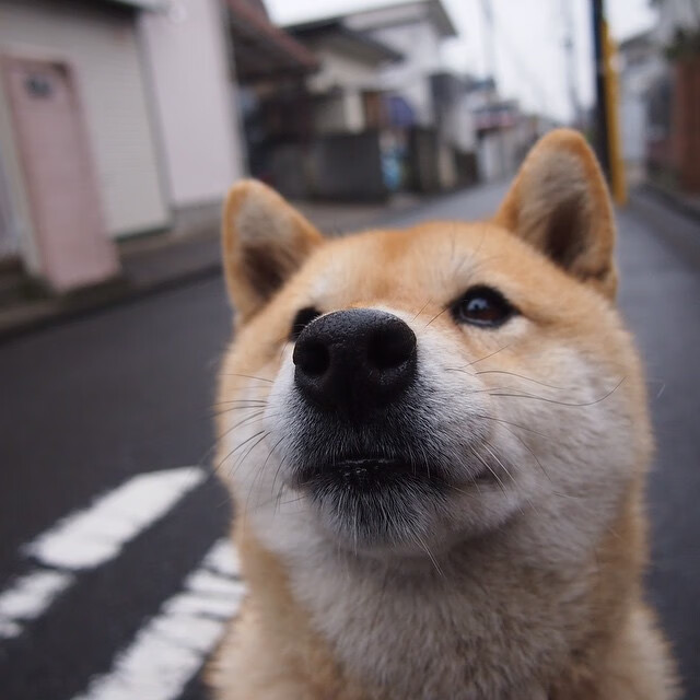 九游体育-冰岛新星特奥攻防统治全场,强势率队攻克毕尔巴鄂